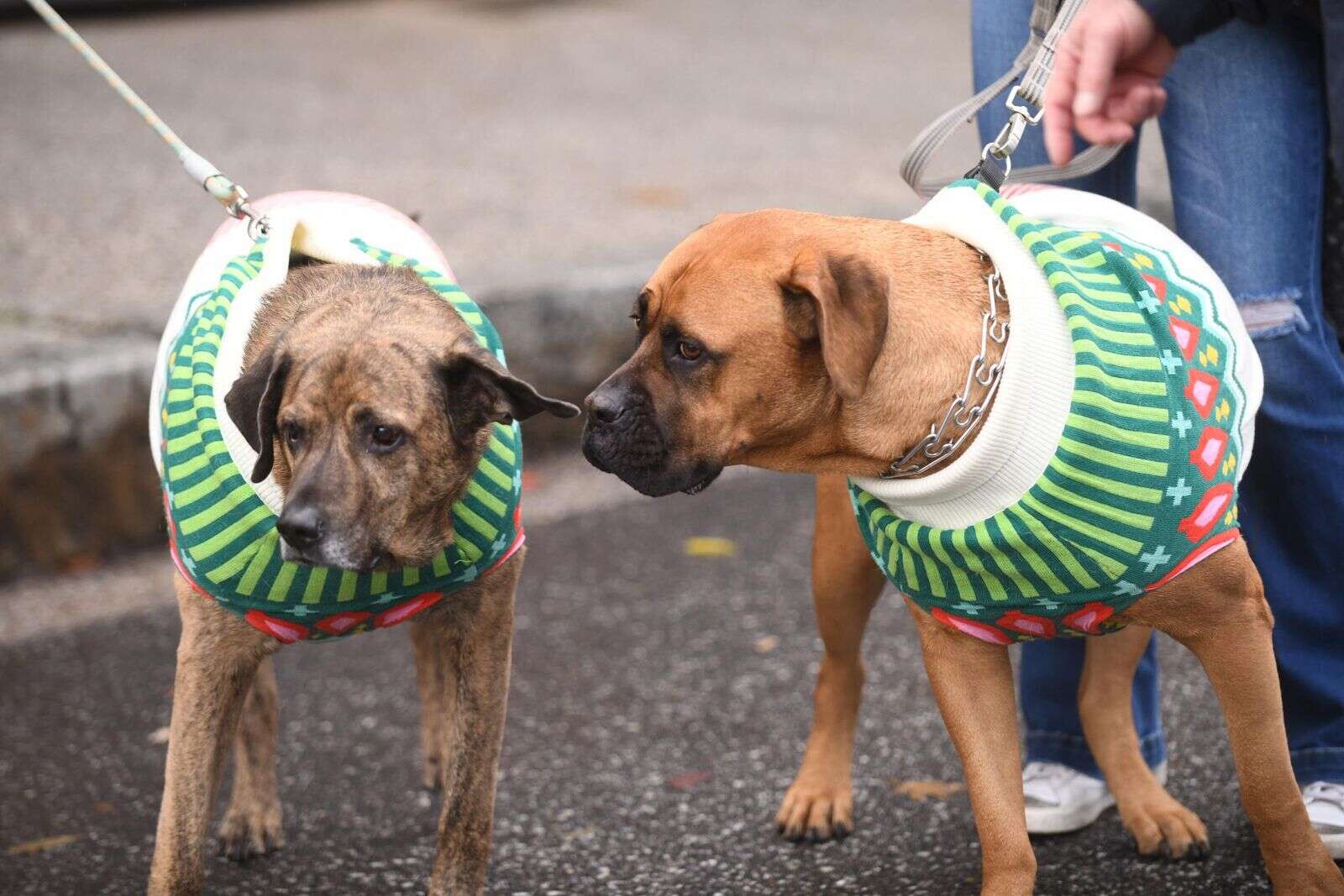 Come rain or shine: Victorian Christmas continues holiday street faire tradition